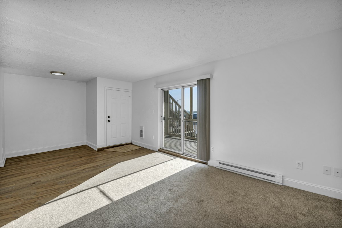 Homes and apartments odor removal